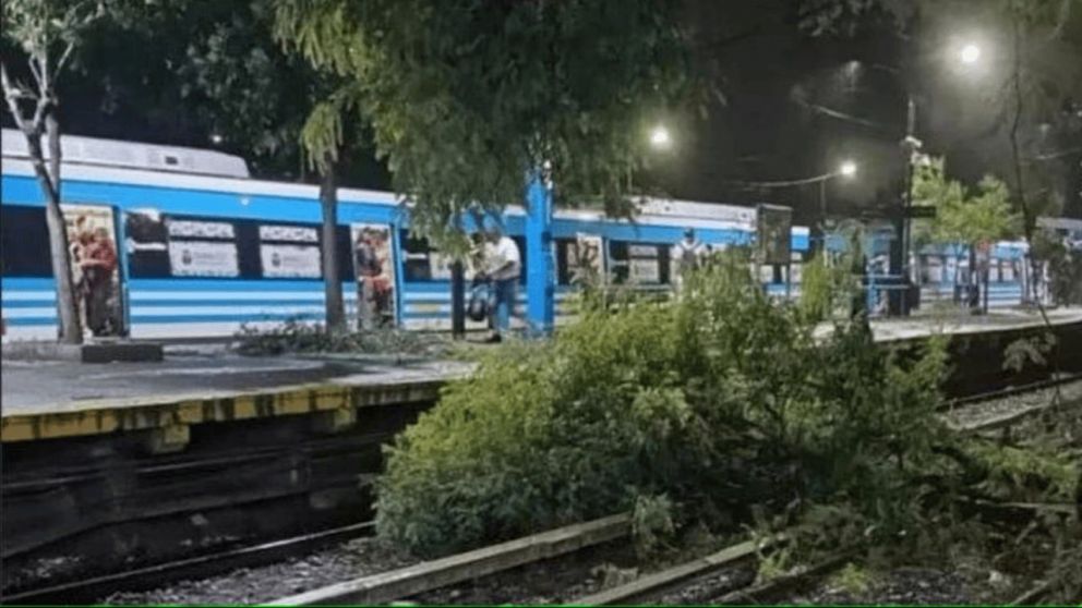 Suspenden servicios de trenes por el temporal en el AMBA