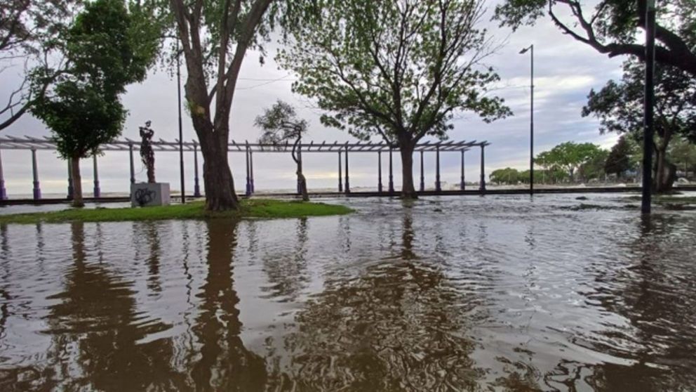 Alerta por crecida del Río de la Plata: a qué hora se espera el pico máximo y dónde