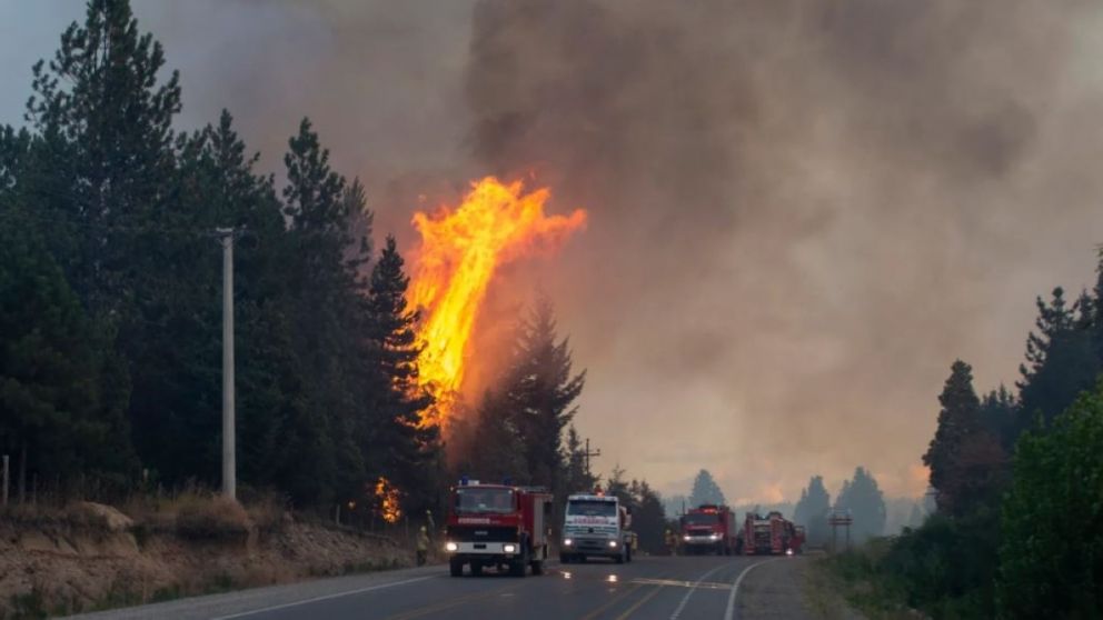 La Provincia envió brigadistas a El Bolsón: "Es una satisfacción colaborar en esta tragedia
