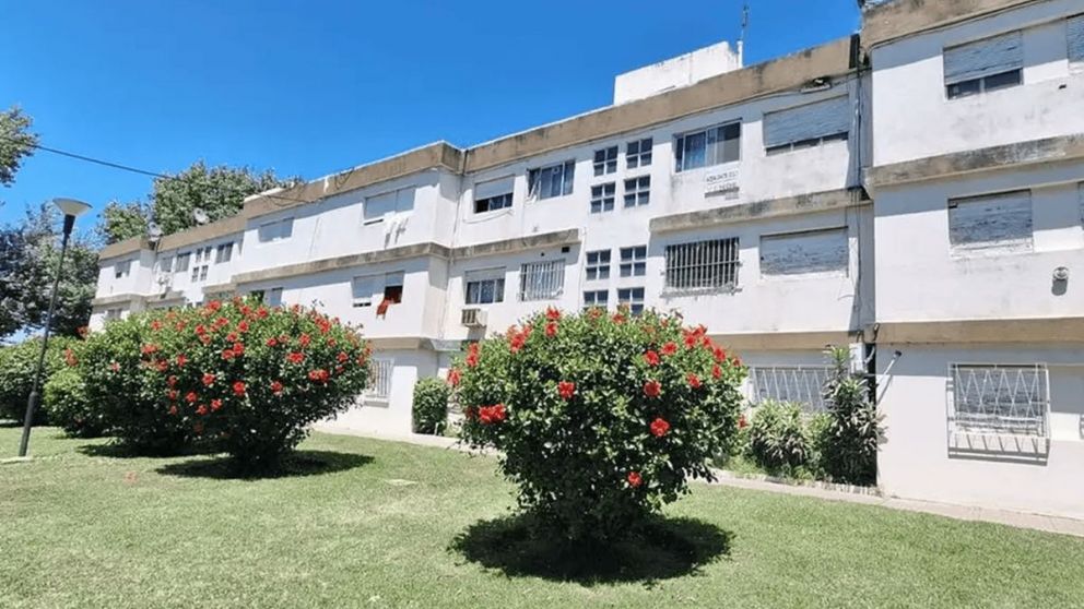 Indignación: mataron de un disparo a un perro y buscan al responsable