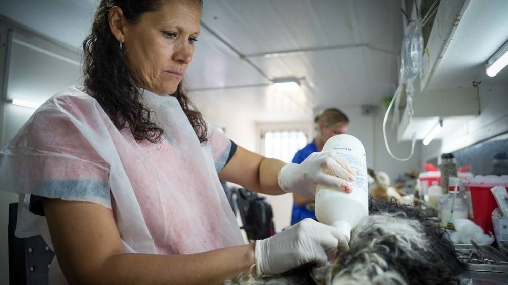 Quilmes: advierten sobre posibles estafas