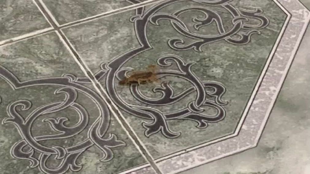 Alacranes: ¿Cómo actuar ante su aparición en el hogar?