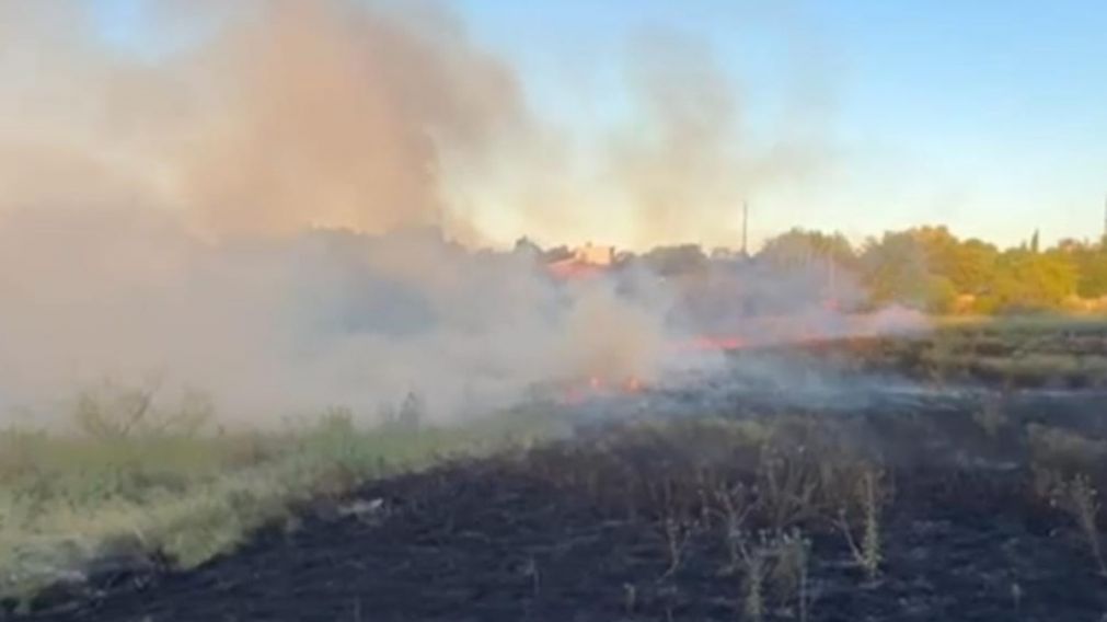Impresionante incendio en el "Campo del Alemán"