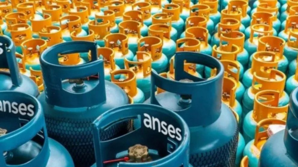Programa Hogar ANSES: los requisitos para cobrarlo en enero 2025