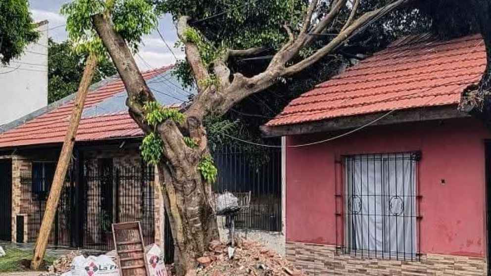 Lo que dejó el temporal: cuánta agua cayó y muchos destrozos