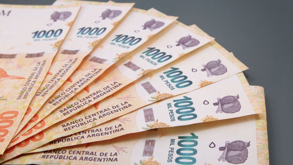 Tarjeta Alimentar: cuáles son los montos de diciembre de 2024