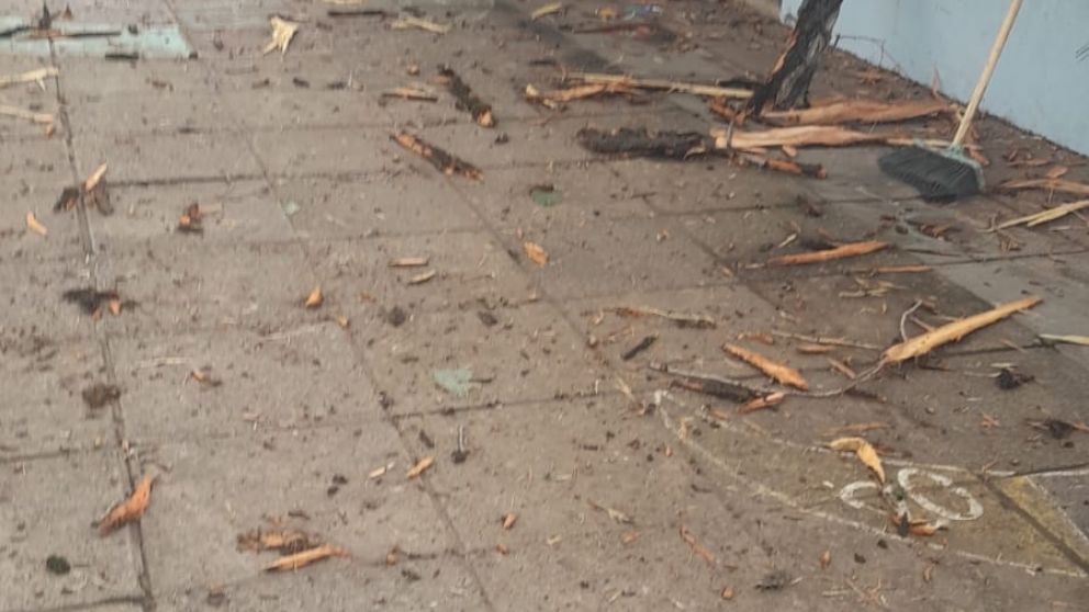 La caída de un rayo causó destrozos en un jardín: dónde y qué pasó