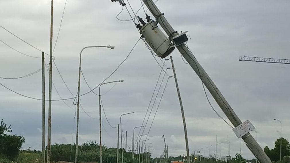 Furia del viento: miles de vecinos amanecieron sin luz tras caída de postes y árboles