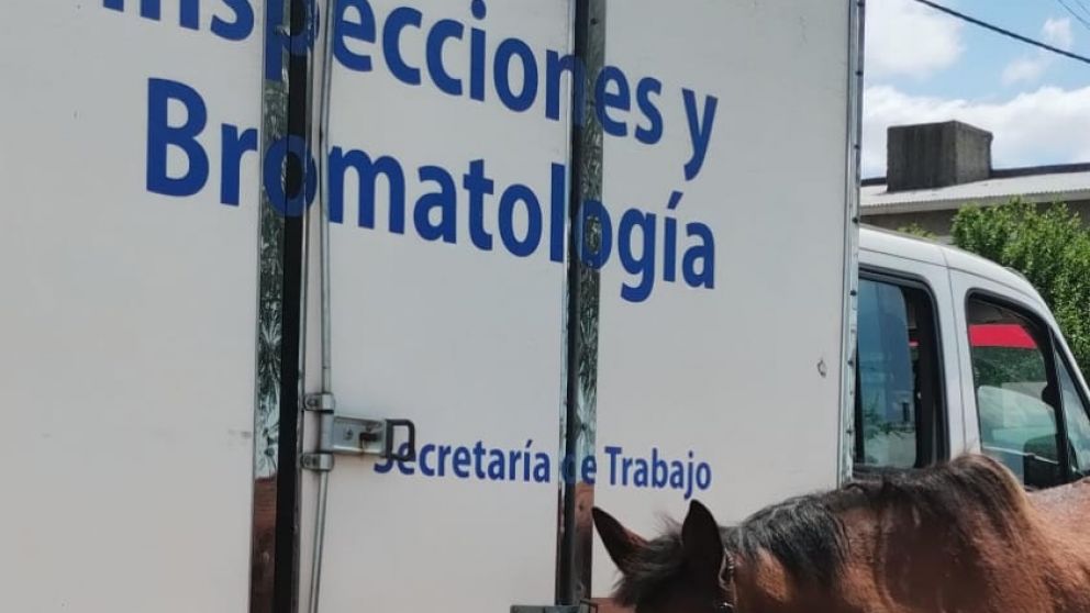 Ocho detenidos por faenar vacas y caballos en Berazategui: "Nunca vi tanta crueldad"