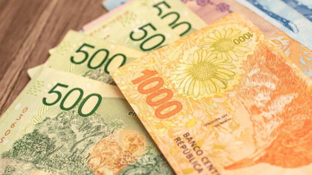 ANSES: se confirm� cu�nto ganar�n los jubilados en octubre de 2024