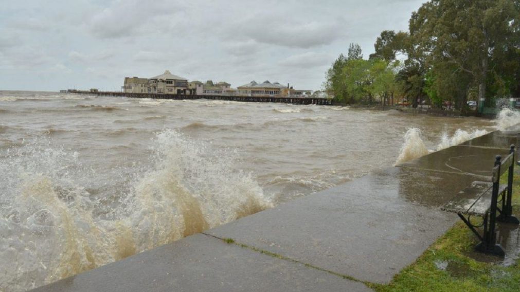 Llega la tormenta de "Santa Rosa" a la regi�n: c�mo afectar� a Buenos Aires y alrededores