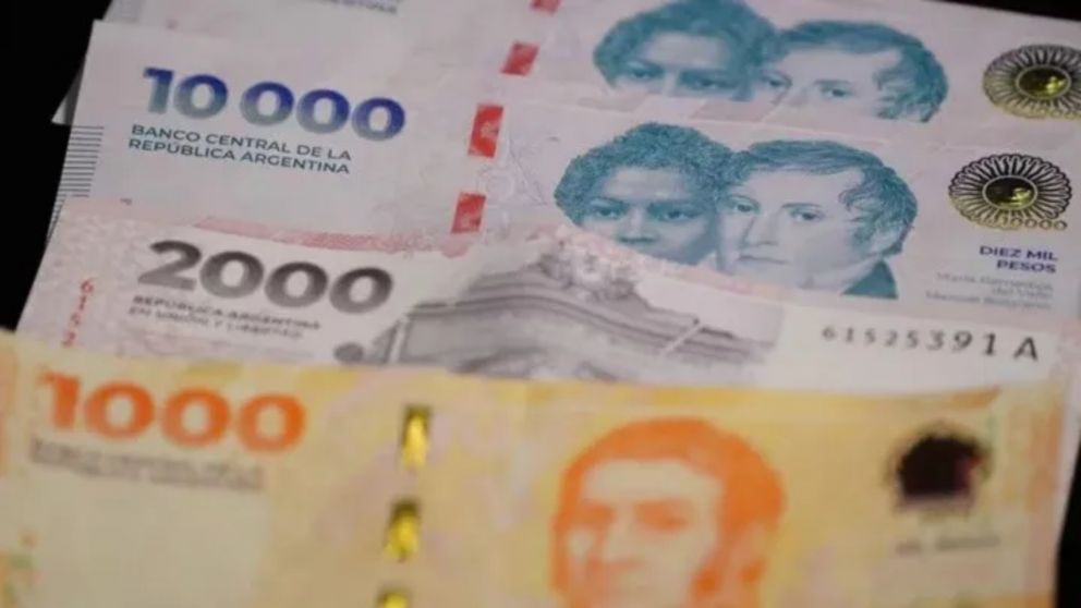 Las fechas completas para los jubilados de la ANSES: �Cu�ndo se cobra en agosto?