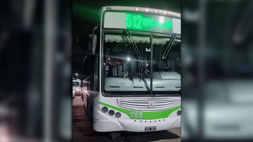 Muerte de Sebastián Miere: cómo continúa la causa y qué pasó con el colectivo del cual cayó el joven
