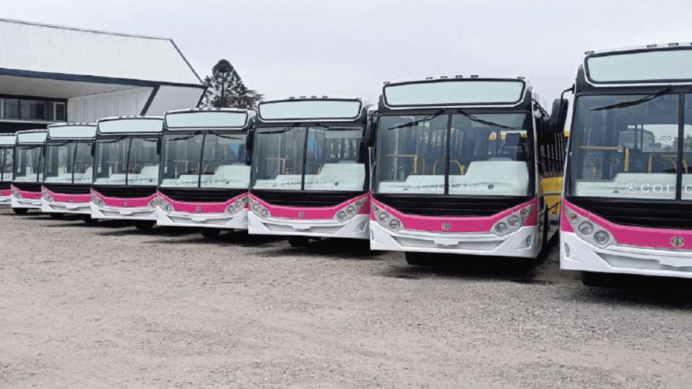 Formosa ofrece semana de viajes gratuitos en 10 nuevas líneas de colectivos