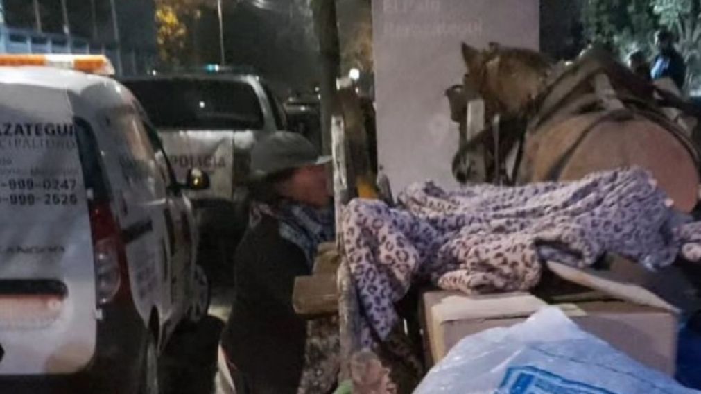 Berazategui: cuatro caballos fueron rescatados por la ONG Caballos de Quilmes