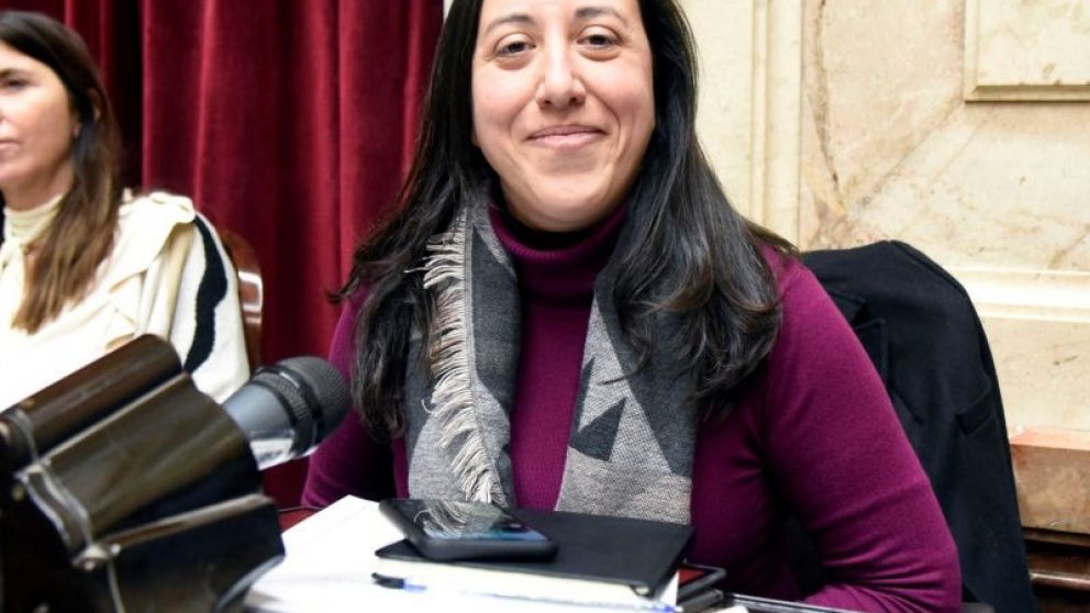 Interna en el PRO: "No estamos pensando en fusionarnos con La Libertad Avanza"