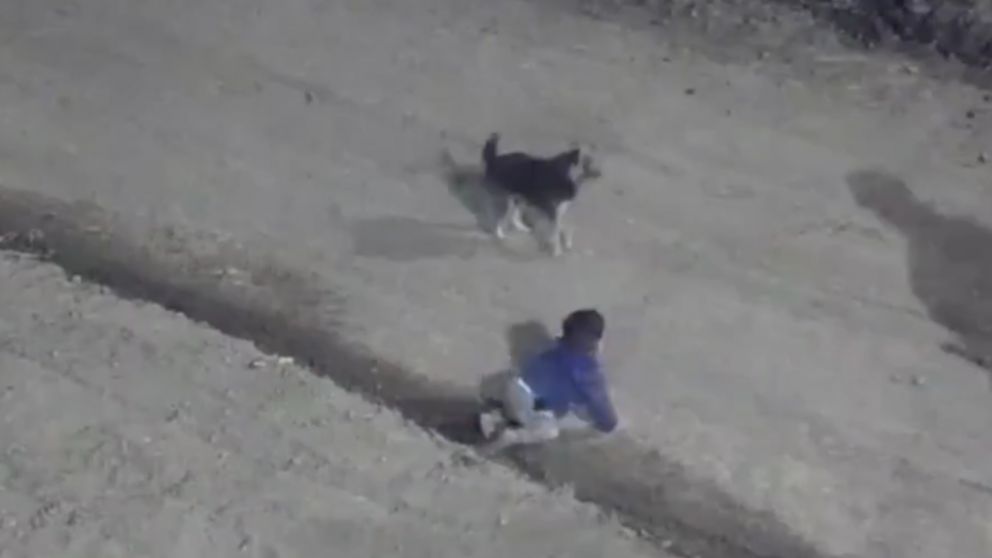 Video: rescataron un bebé que gateaba solo por la calle en plena madrugada