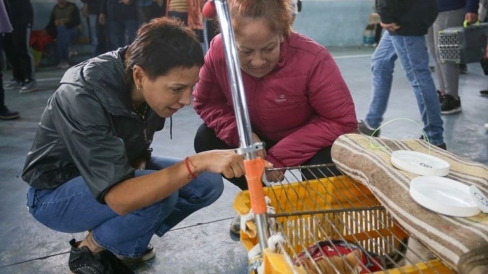 Nuevo megaoperativo de castración y vacunación antirrábica