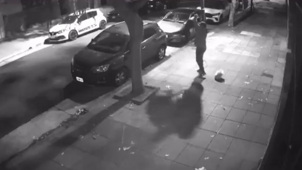 Brutal maltrato animal: un hombre golpeó salvajemente a su perro y quedó grabado