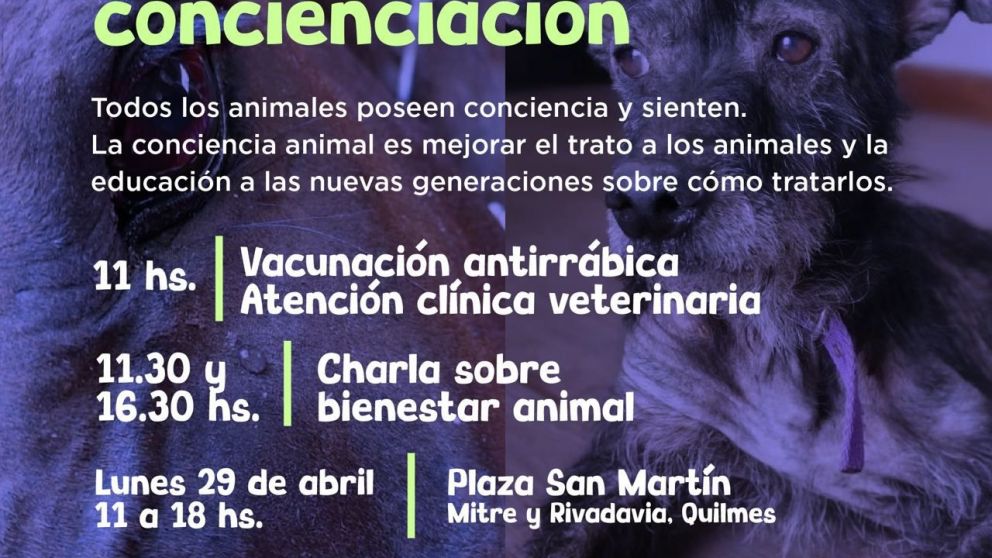 Se postergó la jornada de concientización en Quilmes por el Día del Animal