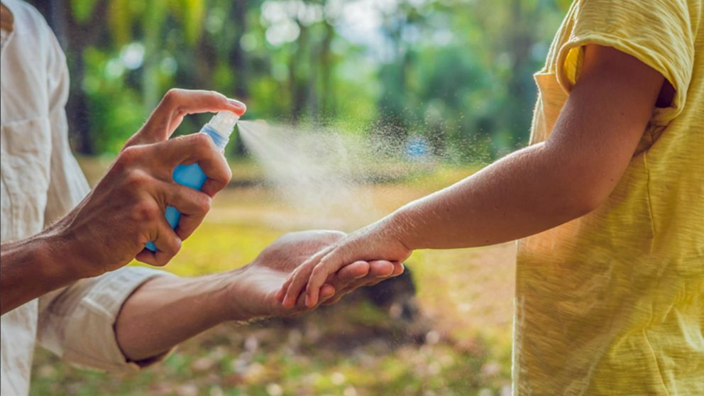 Escasez de repelente: cu�les son las 53 marcas de repelente autorizadas por ANMAT para hacerle frente a los mosquitos