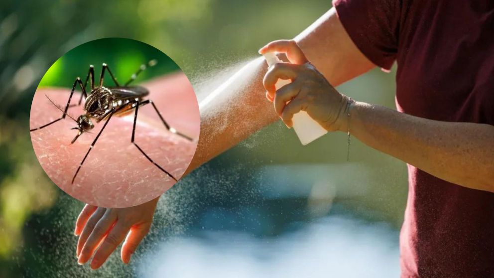 Las indicaciones de la ANMAT para el uso de repelentes contra el dengue
