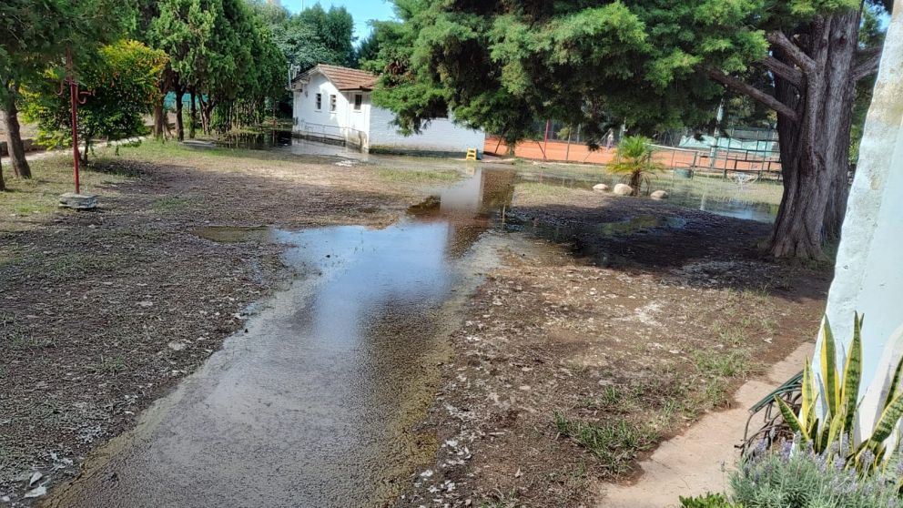 Problemas en el Club Bernal: "Nos sentimos abandonados"