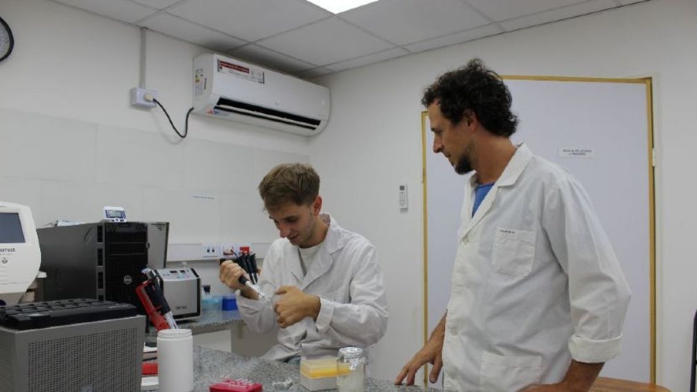 Investigadores de la UNQ desarrollan método para la detección de gonorrea
