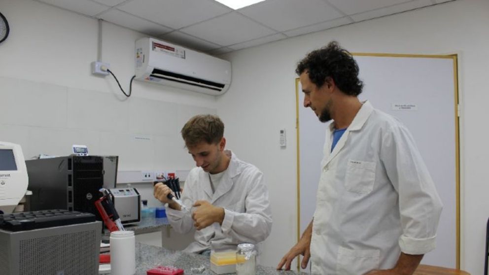 Investigadores de la UNQ desarrollan método para la detección de gonorrea