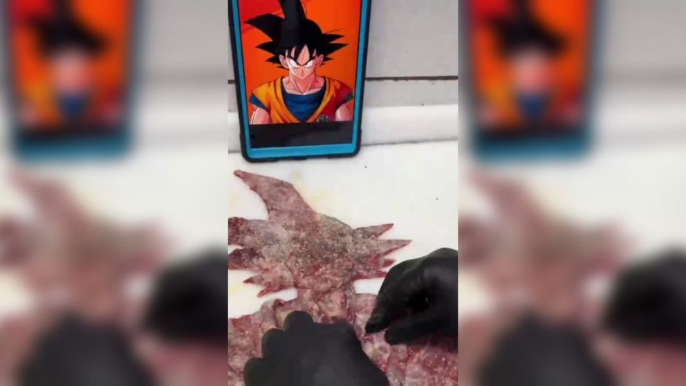 Arte: el emotivo homenaje en forma de milanesa al creador de Dragon Ball