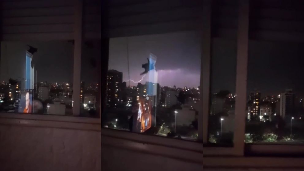 Video: quiso compartir cómo se veía el temporal desde su ventana y recibió la visita inesperada de murciélagos