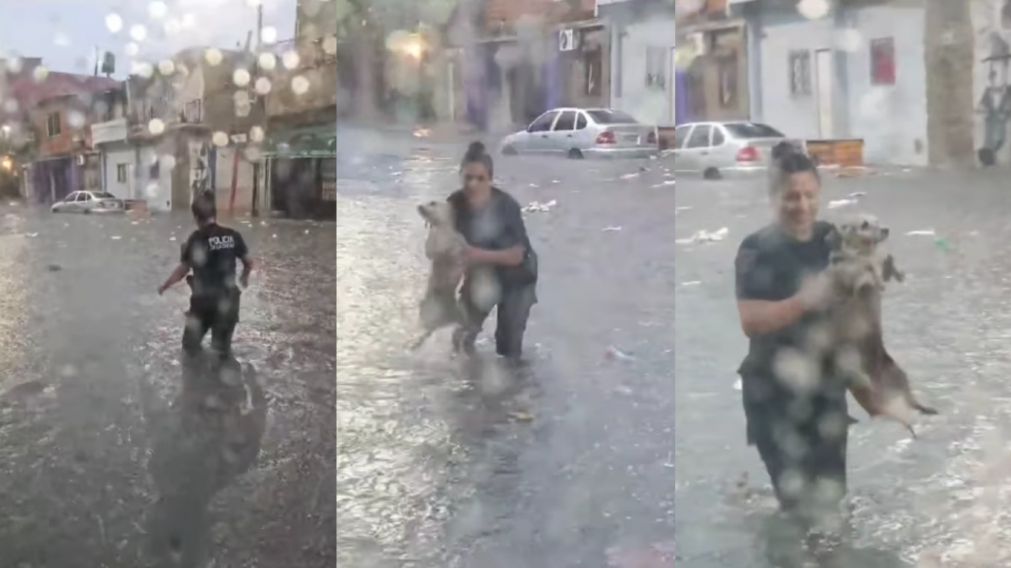 Video emotivo: un perro fue rescatado en medio de la tormenta en Villa Zavaleta