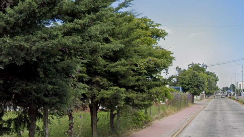 Ezpeleta: rayó cayó sobre un árbol y lo prendió fuego