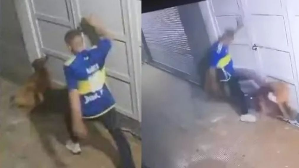 Varela: fallo contra un hombre que maltrat� a un perro