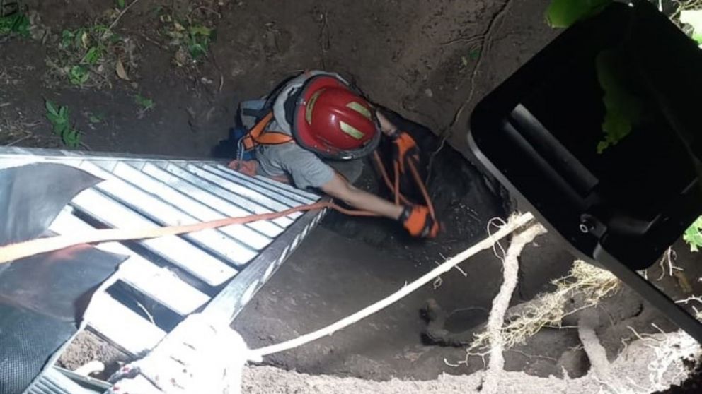 Rescataron a un perro que se cayó a un pozo ciego en Quilmes Oeste