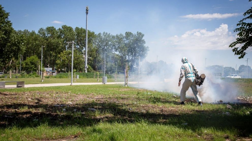 Dengue: jornadas de descacharrado intensivo