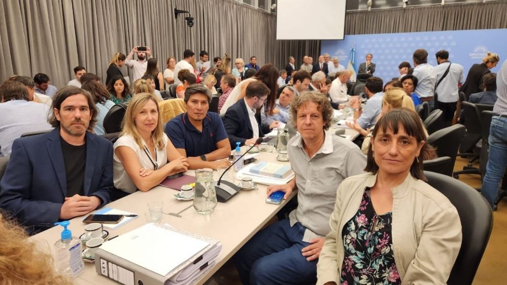 "Los que firmaron el dictamen se van a tener que hacer cargo"