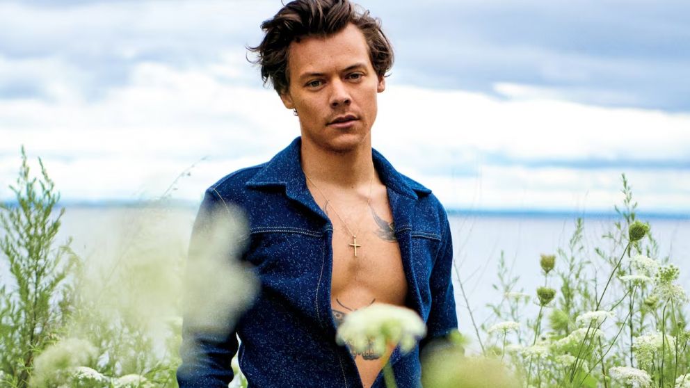 Harry Styles sorprende con Pleasing Yourself: su línea de juguetes sexuales que celebra el placer y la libertad