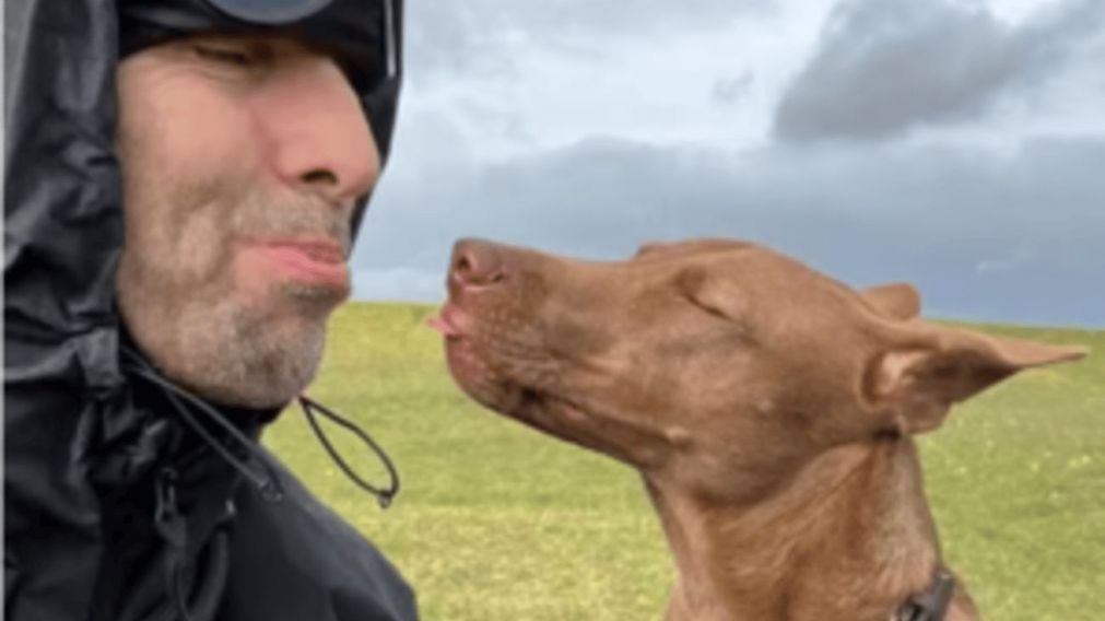 ¿Quién es Buttons? La perra rescatada por Liam Gallagher que se robó el show del regreso de Oasis