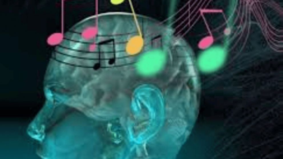 El poder oculto de la música: cómo transforma tu cerebro y tus emociones