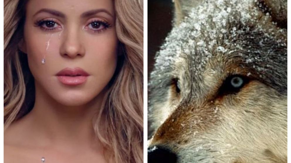Shakira desata a La Loba en pleno eclipse lunar