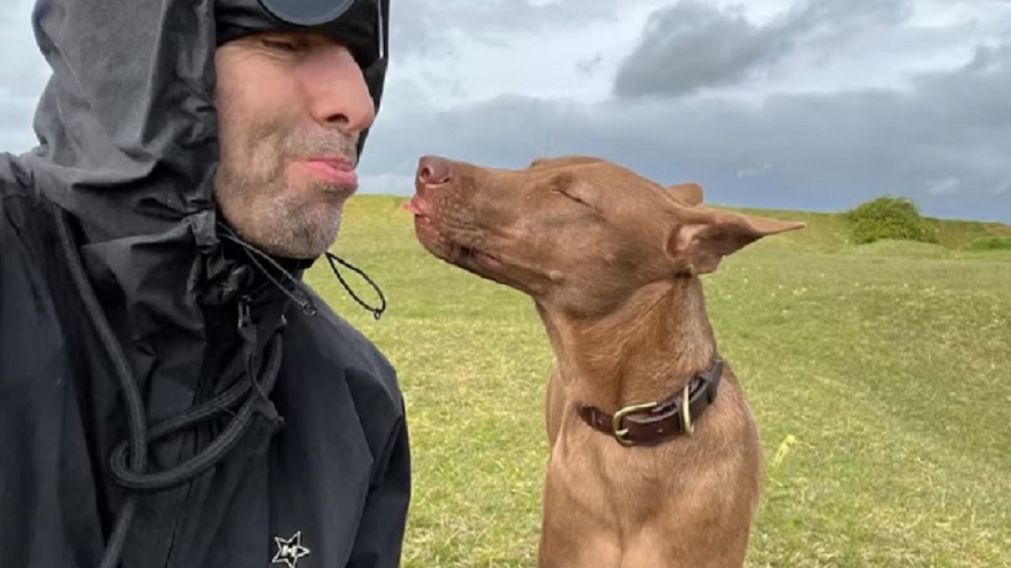Liam Gallagher recibió un premio tras adoptar a una perrita abandonada en Tailandia por ser “demasiado fea”.