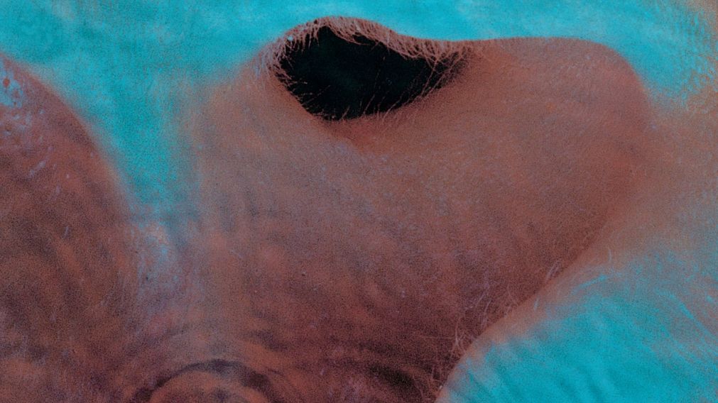 Pink Floyd recuerda el 2024-10-30 como un día importante