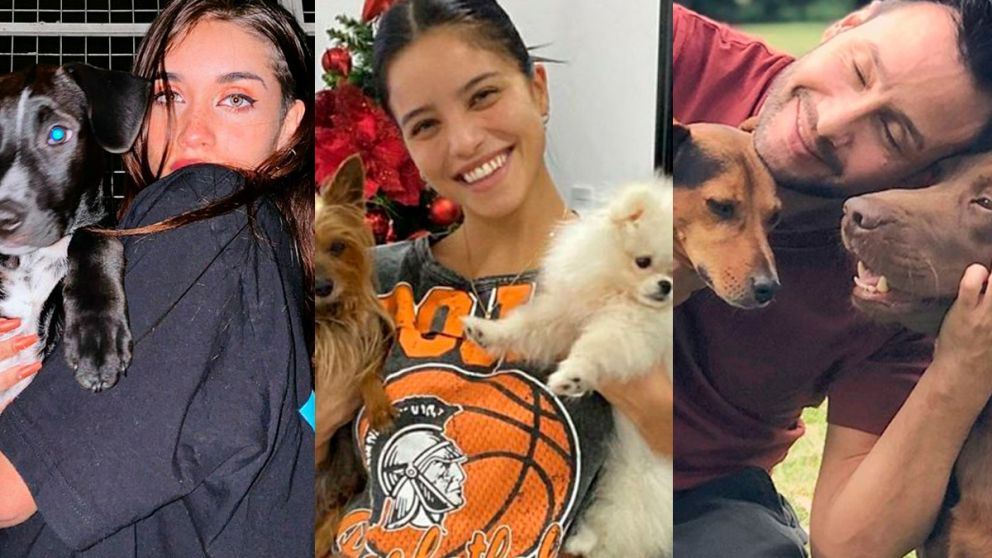 Día internacional de perro: conocemos los amigos de cuatro patas de Maria Becerra, Emilia y Luciano Pereyra