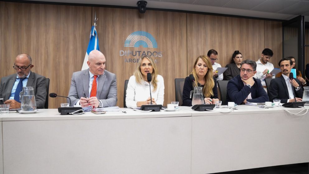 Gabriela Brouwer de Koning y Jos� Luis Espert presiden las comisiones de Previsi�n y Seguridad Social y de Presupuesto y Hacienda, respectivamente.