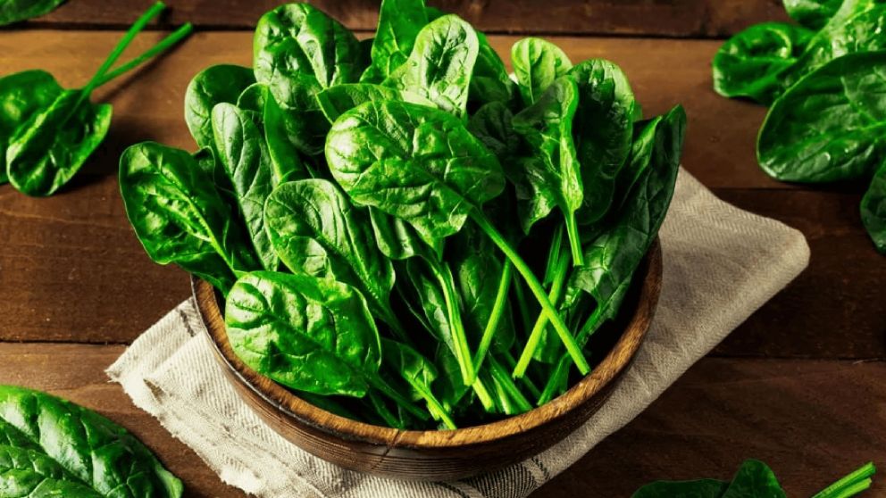 La espinaca está barata: 5 recetas sabrosas, fáciles y nutritivas con este vegetal que está en oferta