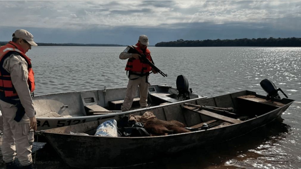 El increíble hallazgo ocurrió en Corrientes.