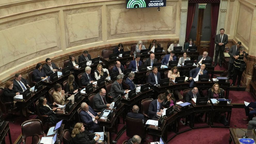 Votan la ley de Ficha Limpia.