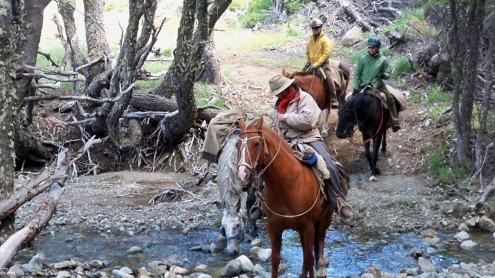 El incidente entre los hombres ocurrió cerca de la ciudad de Bariloche (Imagen ilustrativa).