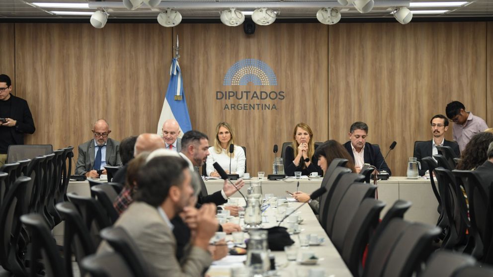 Se llevó adelante un plenario para debatir proyectos de moratoria previsional.